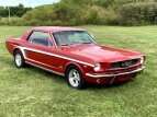 Thumbnail Photo 152 for 1966 Ford Mustang Coupe